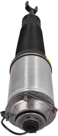 Air Suspension Strut 2070041 - image 2