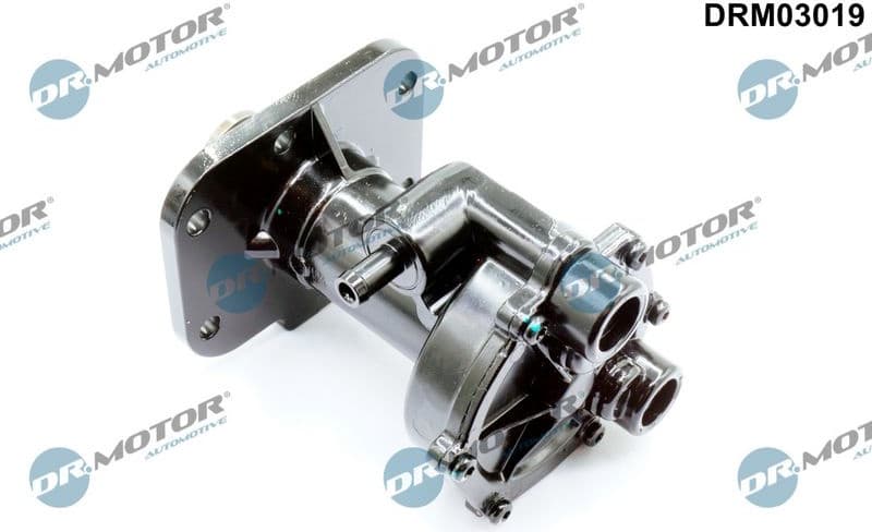 Vacuum Pump, braking system DRM03019