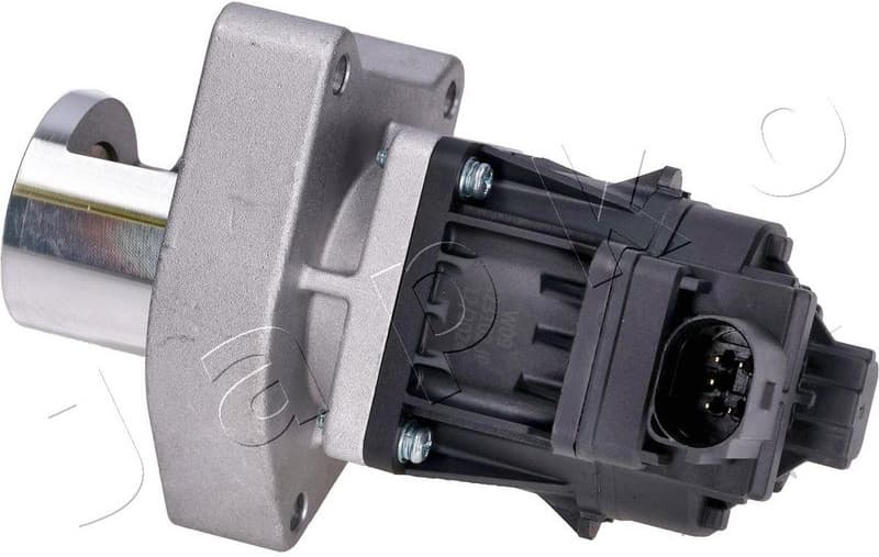 EGR Valve 150W09