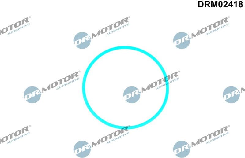Gasket, fuel pump DRM02418