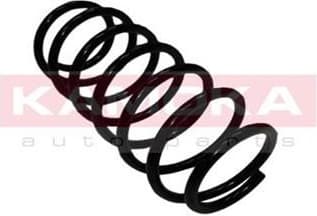 Coil spring 2110205
