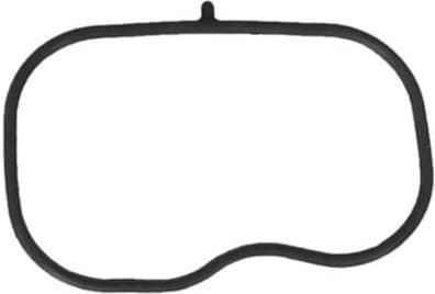 Gasket, intake manifold 8704313
