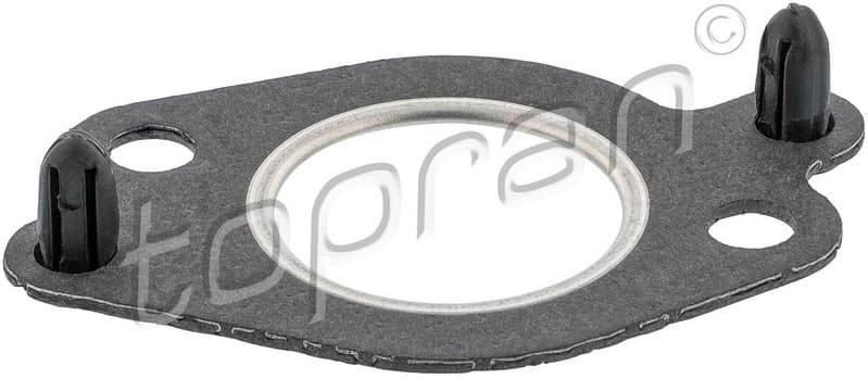 Gasket, EGR valve 411 438