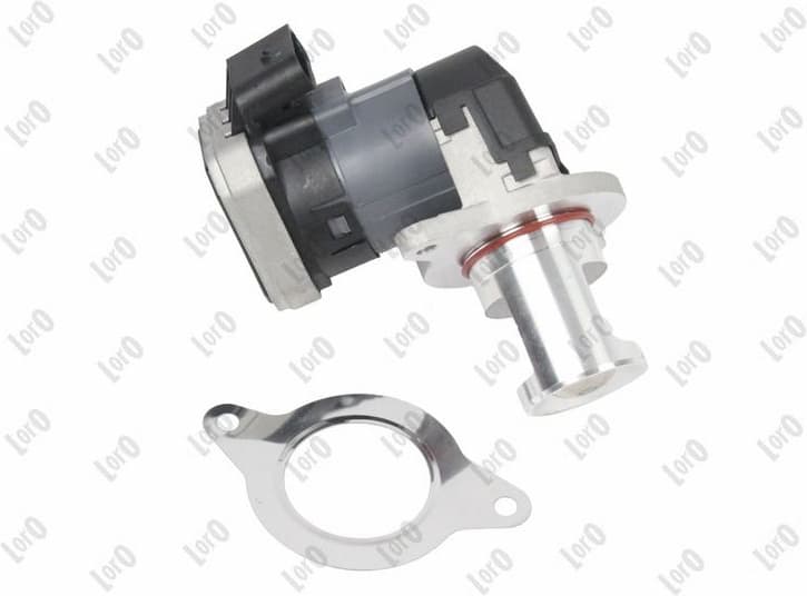 EGR Valve LORO 121-01-141