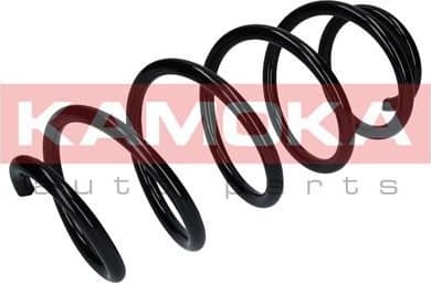 Coil spring 2110361