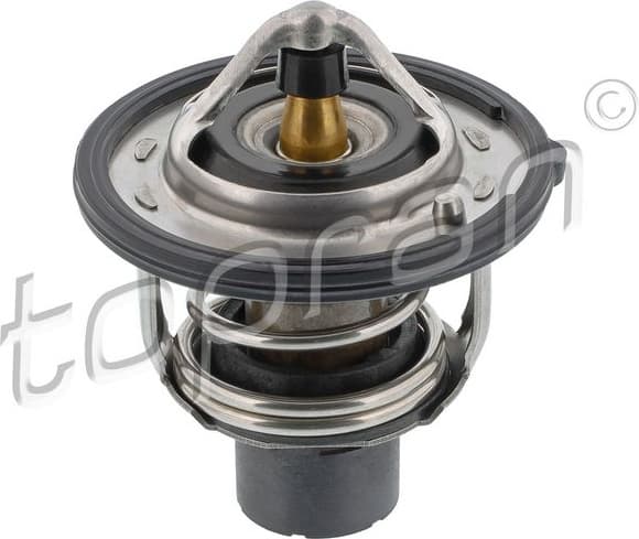 Thermostat, coolant 602 029