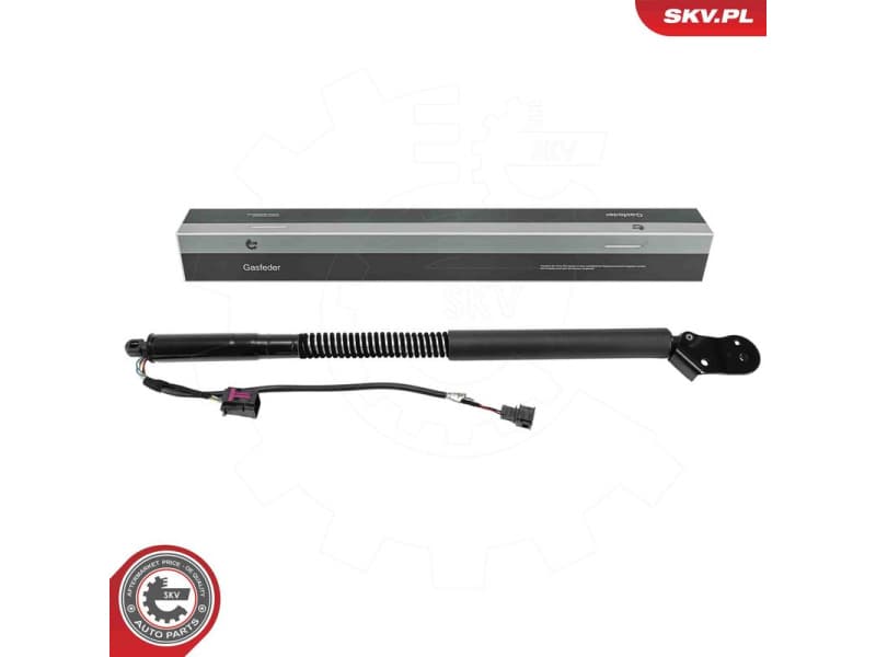 Electric Motor, tailgate 52SKV875