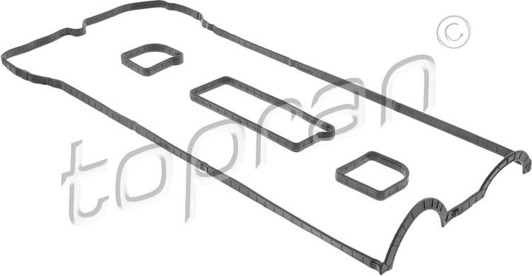 Gasket Set, cylinder head cover 305 318