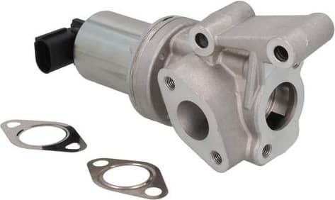EGR Valve 19110