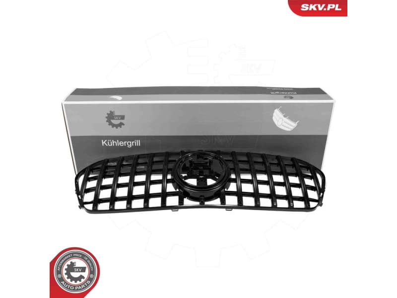 Radiator Grille 66SKV582