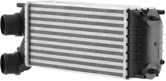 Charge Air Cooler 8ML 366 471-041