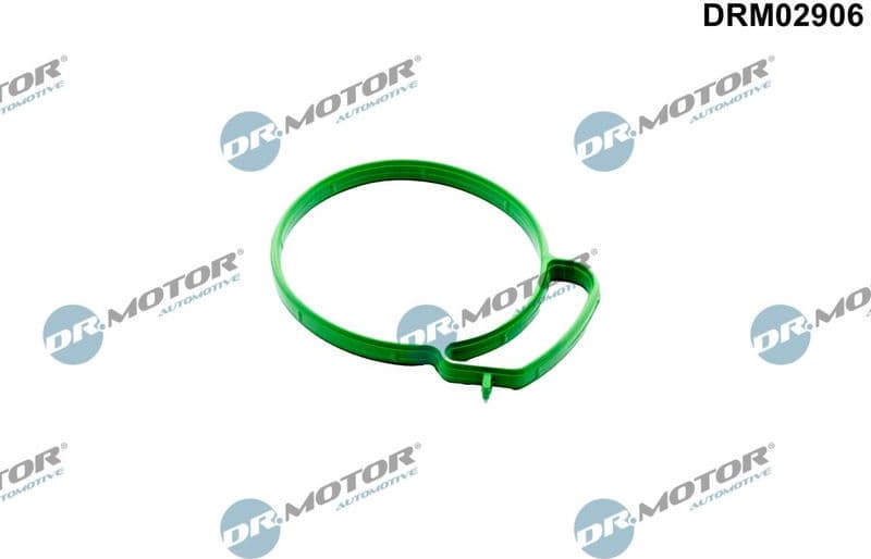 Gasket, throttle body DRM02906