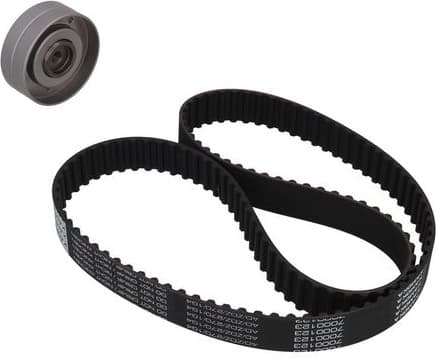 Timing Belt Kit 7001160 - image 2