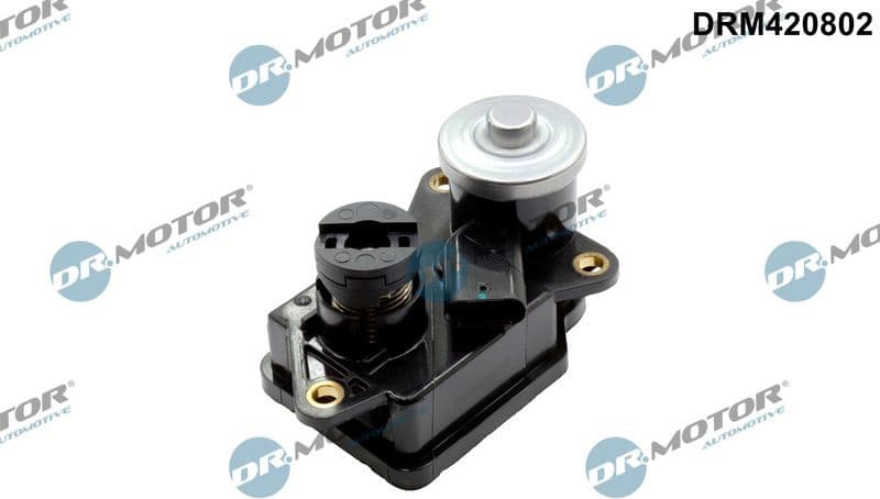 Control, swirl flaps (induction pipe) DRM420802
