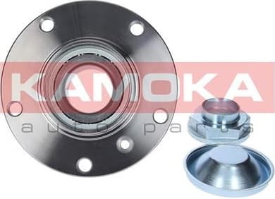Bearing wheel 5500147