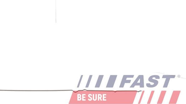 Oil Dipstick FT10958 - image 3