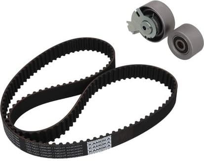 Timing Belt Kit 7001053 - image 3