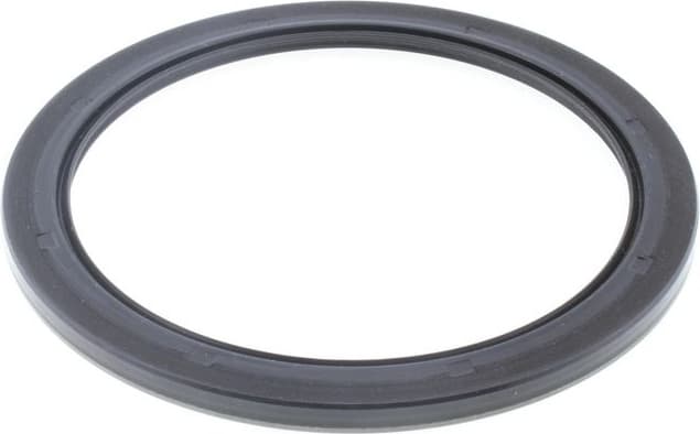 Shaft Seal, wheel hub 49127945