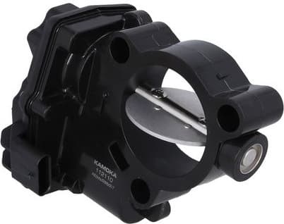 Throttle Body 112110