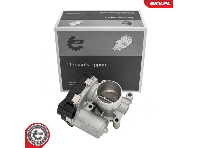 Throttle Body 12SKV145