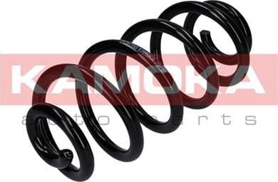 Coil spring 2120266