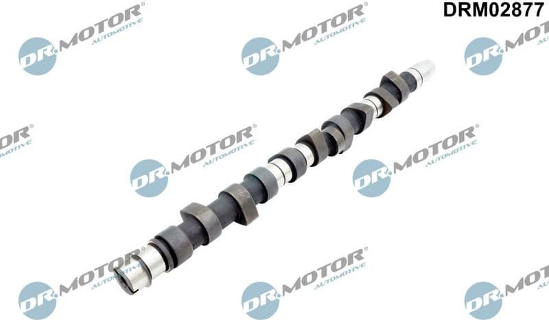 Camshaft DRM02877