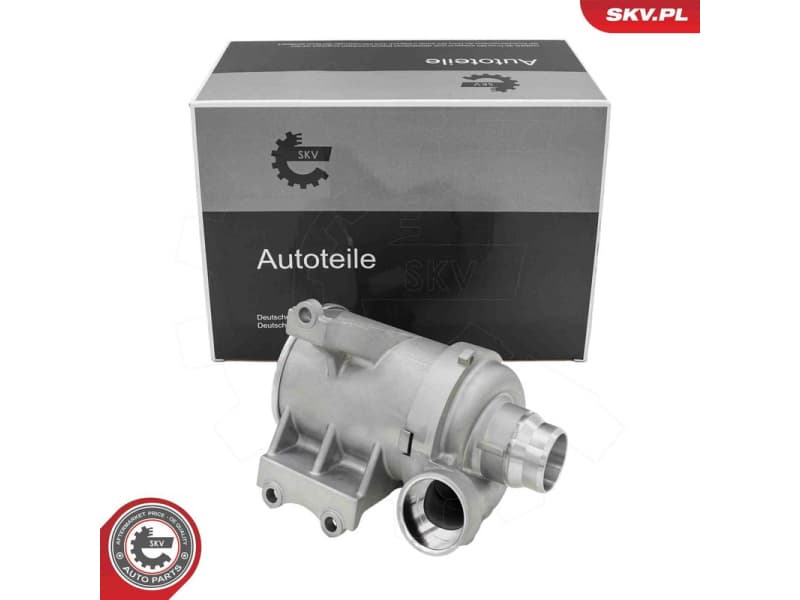 Water Pump, engine cooling 22SKV093
