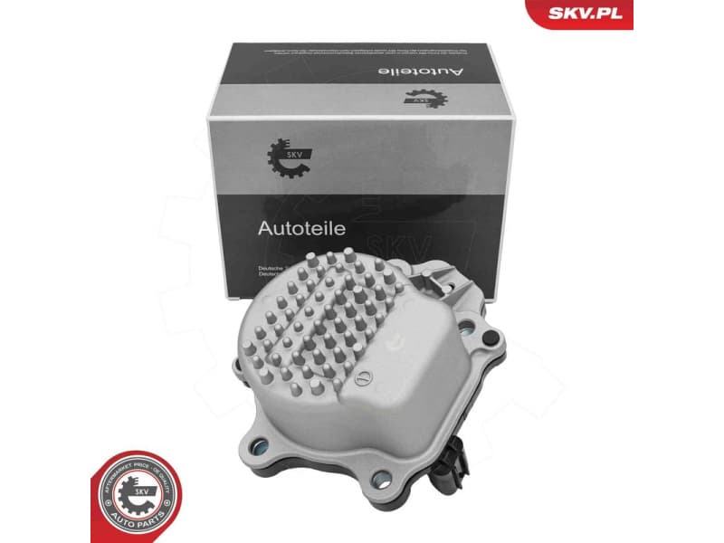 Water Pump, engine cooling 22SKV092
