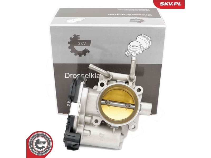 Throttle Body 12SKV128
