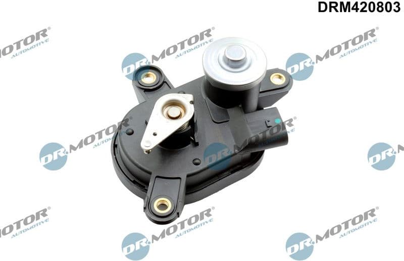 Control, swirl flaps (induction pipe) DRM420803