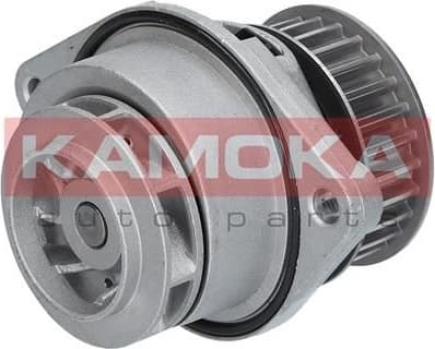 Water Pump, engine cooling T0024