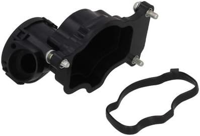 Valve, crankcase ventilation 4220051