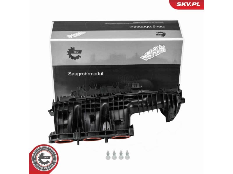 Intake Manifold Module 49SKV106