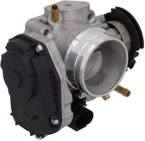 Throttle Body 112064