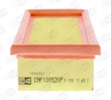 Air Filter CAF100520P