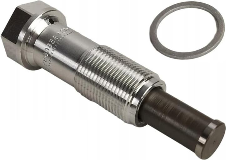 Chain tensioner 11318490219