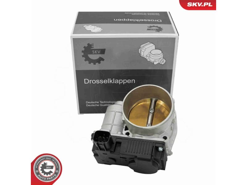 Throttle Body 12SKV178