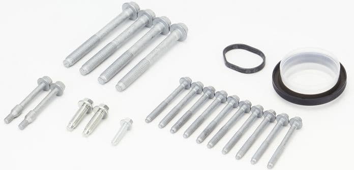 Screw Kit, timing case MS54