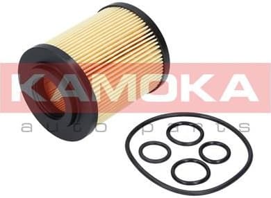 Filter oil F109301