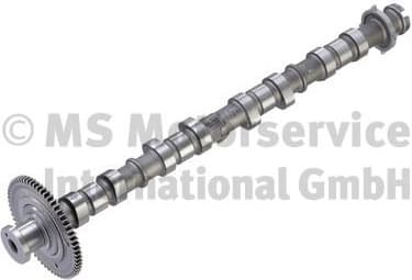 Camshaft 50056088