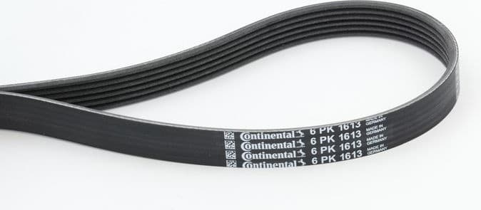 Belt PK-multirib 6PK1613 CONTI