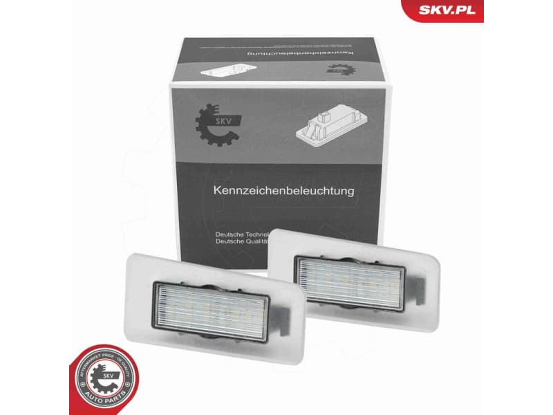 Licence Plate Light 72SKV598