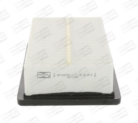Air Filter CAF100535P