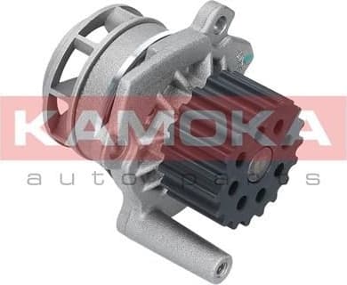 Water Pump, engine cooling T0020