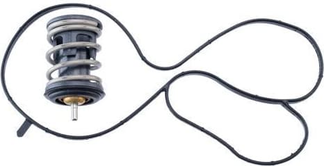 Thermostat, coolant BEHR TX 489 97D