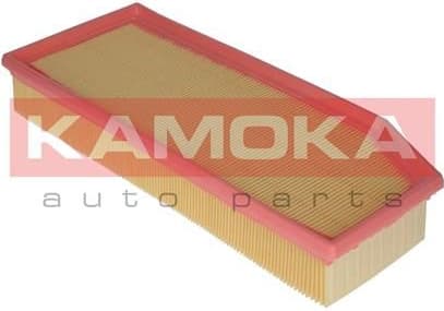 Air Filter F209801 - image 2