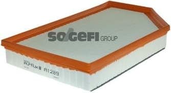 Air Filter A1289