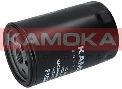 Oil Filter F100501 - image 2