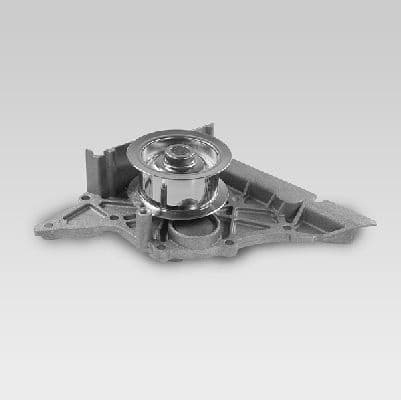 Water Pump, engine cooling P579