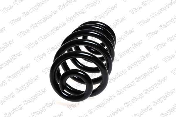 Suspension Spring 50206